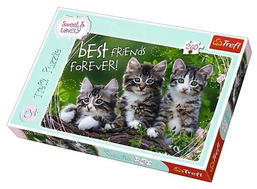 Puzzle - Best Friends Forever - 260 Pièces
