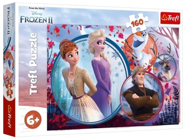Puzzle Frozen II - 160 pièces