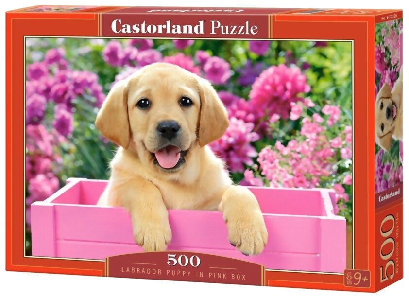 Puzzle - Labrador puppy in pink box - 500 pièces