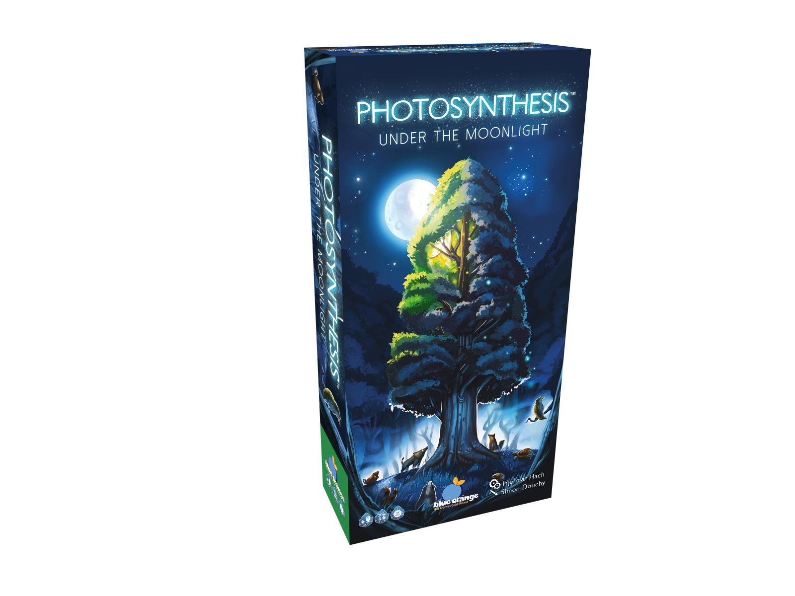 Photosynthesis - Under the Moonlight