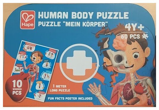 Human Body Puzzle - Mein Körper