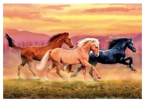 Puzzle - Horses