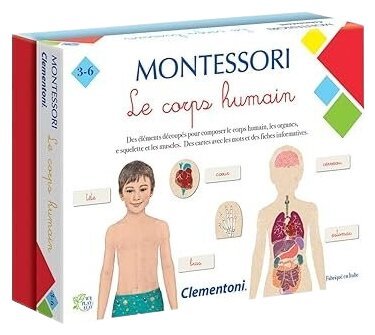Montessori - Le Corps Humain
