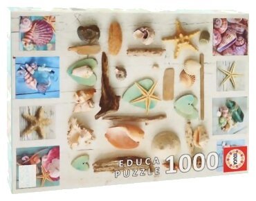 Puzzle - Collage De Coquillages - 1000 Pièces