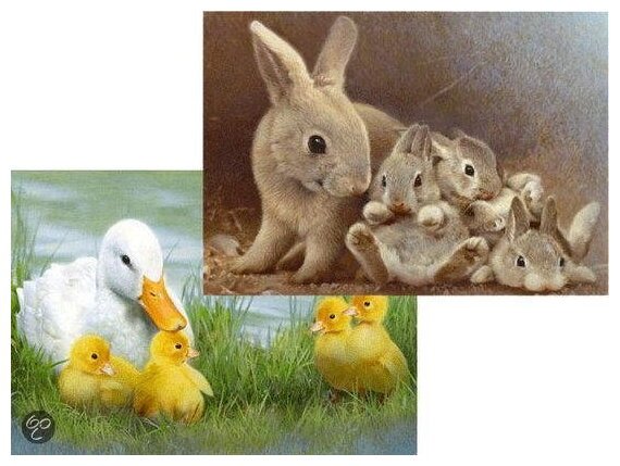 Puzzle 2-En-1 Du Printemps