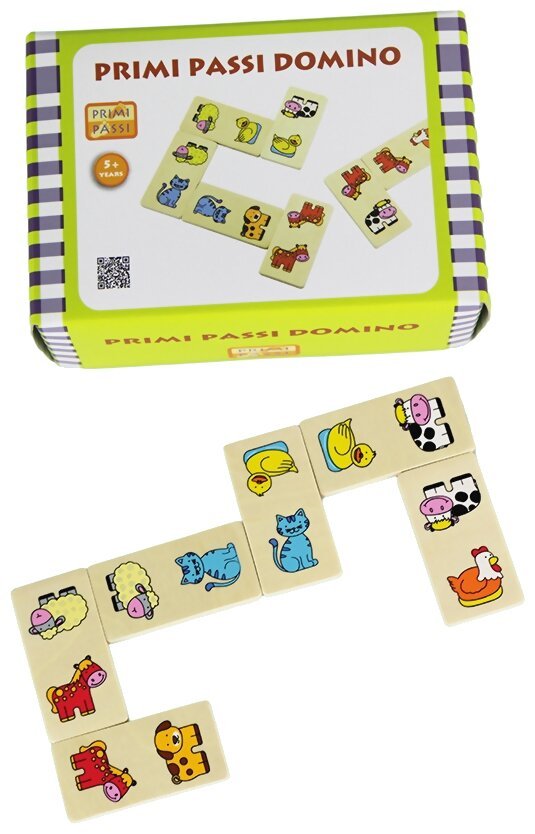 Primi Passi Domino