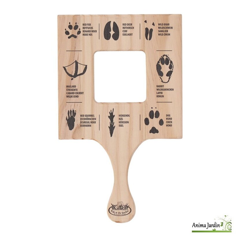 Cadre D'exploration Empreintes En Bois