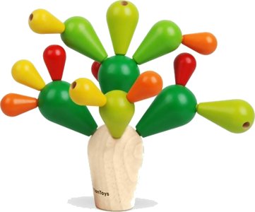 Mikado Cactus