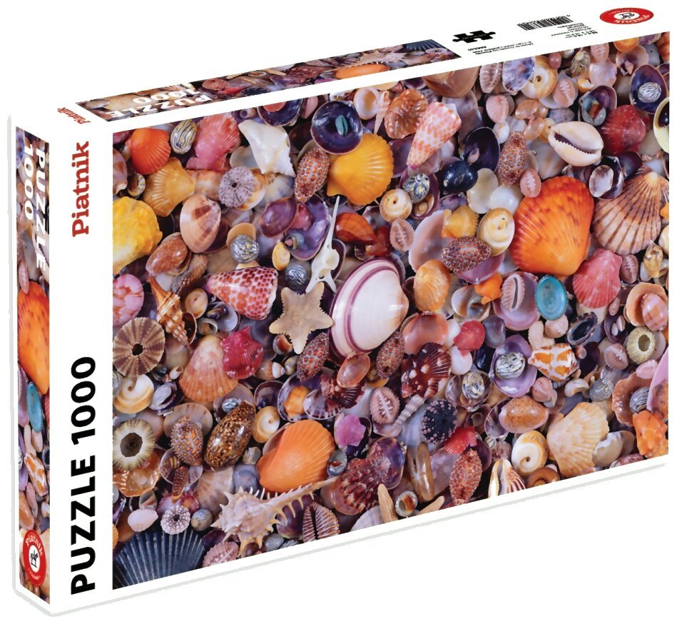 Puzzle - coquillages