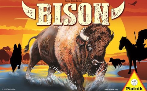 Bison