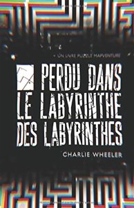 Perdu Dans Le Labyrinthe Des Labyrinthes
