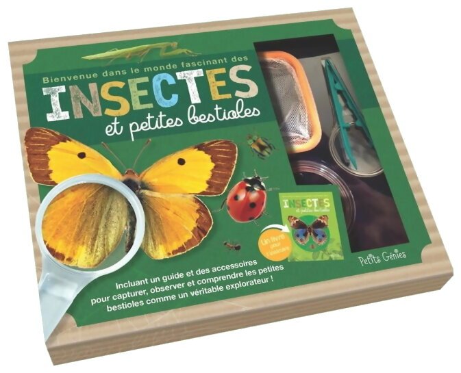 Bienvenue Dans Le Monde Des Insectes Et Petites Bestioles