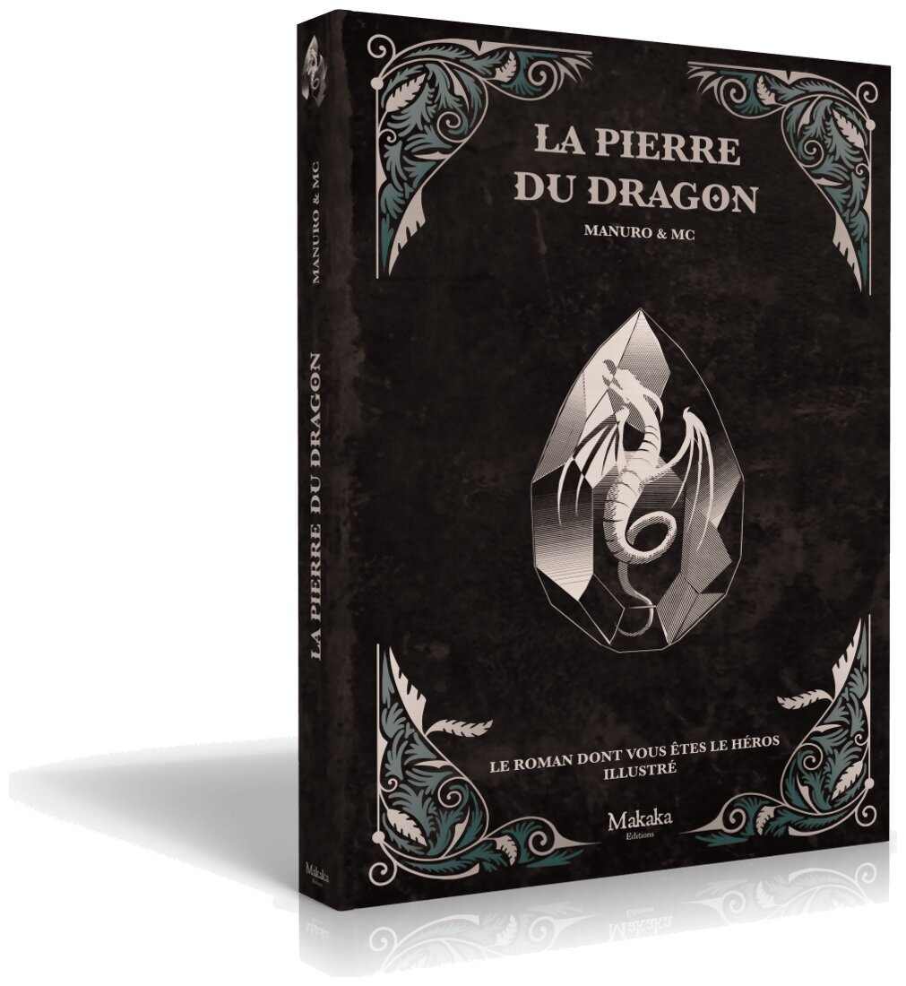 Le roman dont vous êtes le héros illustré - La Pierre du Dragon