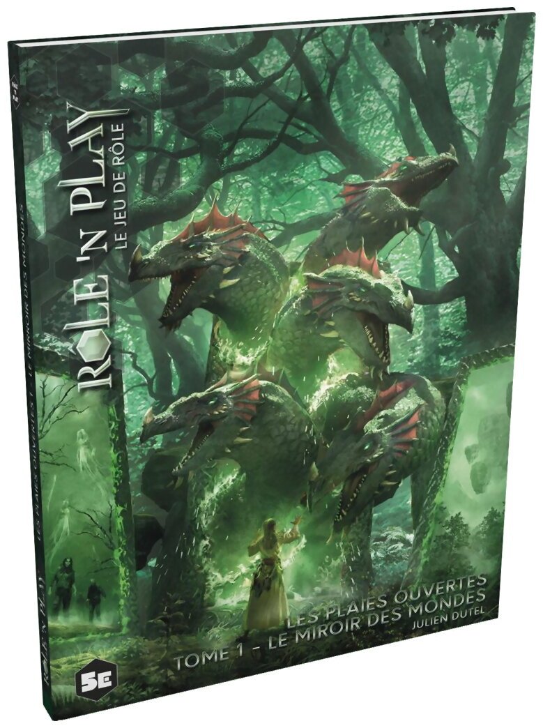Role 'n Play - Le miroir des mondes - Tome 1 - Les plaies ouvertes