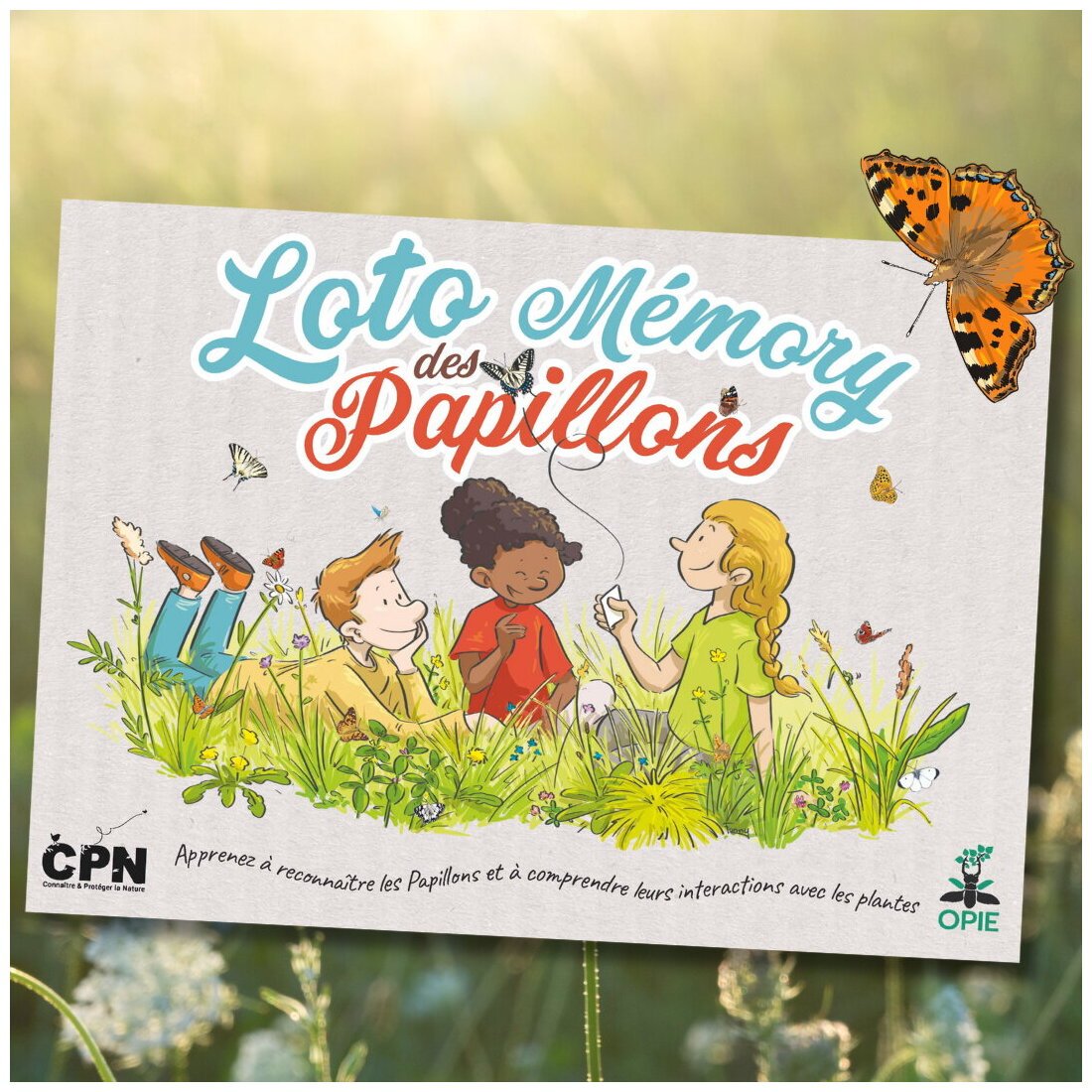 Loto Mémory Des Papillons