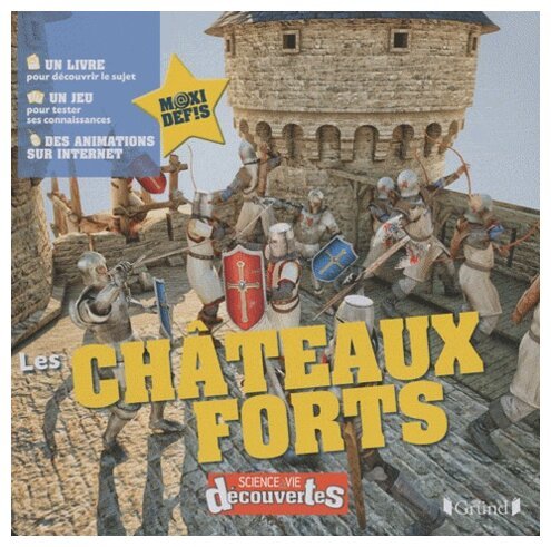 Les châteaux forts