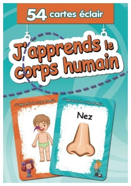 J'apprends Le Corps Humain - 54 Cartes Éclair