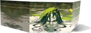 Vaesen - Screen and Map