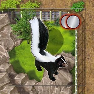 Zooloretto - Extension "Mouffette / Skunk / Stinktier"