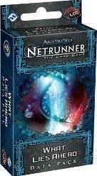 Android : Netrunner - What Lies Ahead