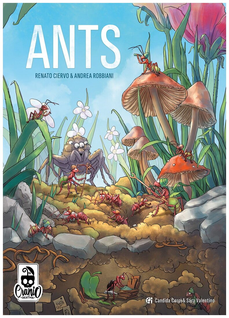 Ants