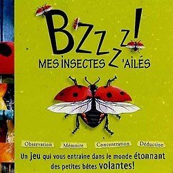 Bzzz mes Insectes z'ailés
