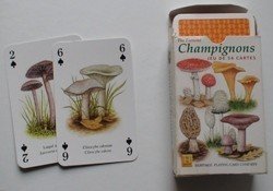 Champignons