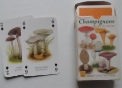 Champignons — Édition 1999