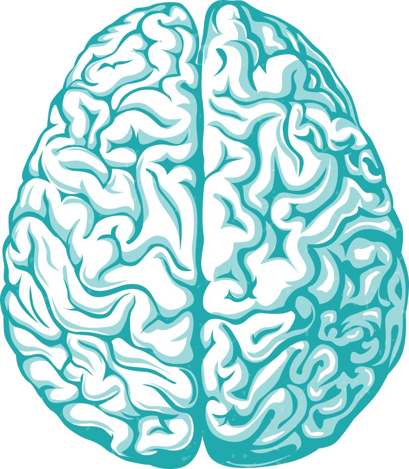 Cortex³ Challenge