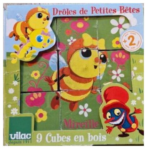 Cubes Drôles De Petites Bêtes