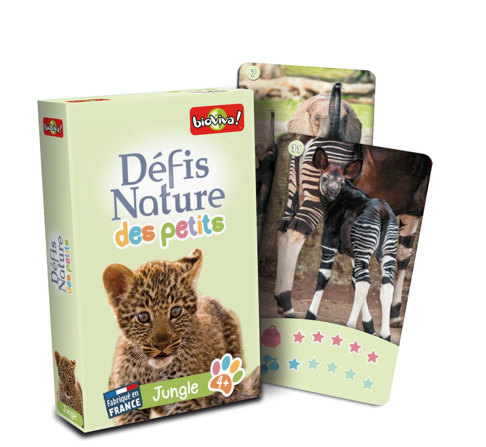 Photo: Défis Nature des Petits - Jungle