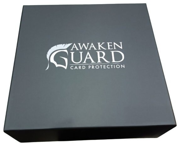 Dragon Eclipse - Awaken Guard Card Protection