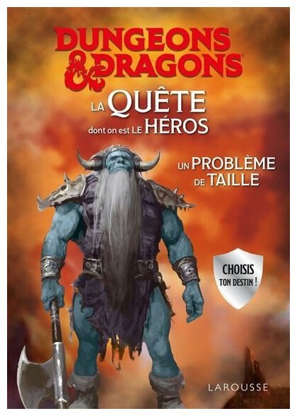 Dungeons & Dragons - La Quête Dont On Est Le Héros - Un Problème De Taille