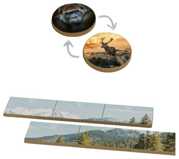 Earth - Règne Animal Pack De Goodies KS