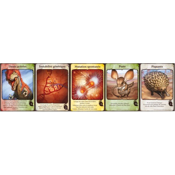 Evolution : Cartes