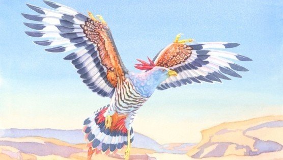 Evolution - Flight