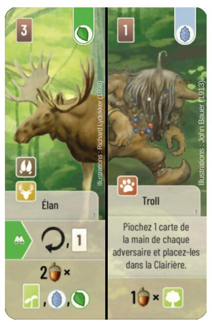 Forest Mixte - Élan / Troll