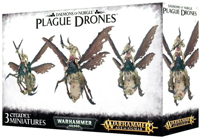 Age Of Sigmar - Daemons Of Nurgle - Plague Drones of Nurgle
