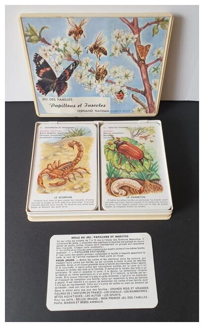Jeu Des Familles - Papillons Et Insectes
