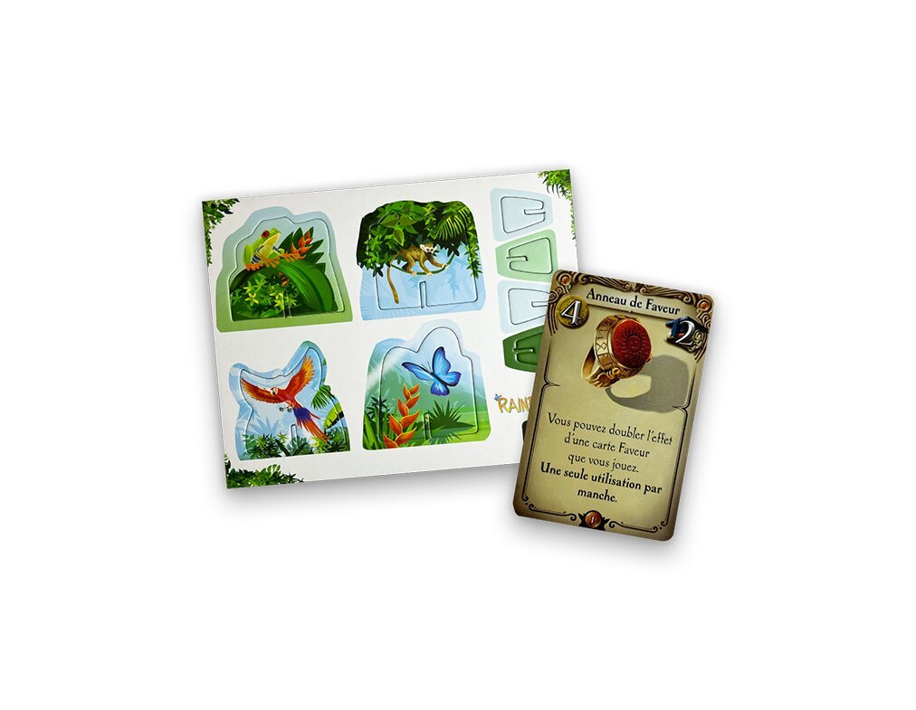 Rainforest - Goodies Plato