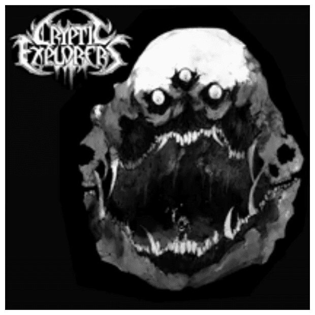 Cryptic Explorers