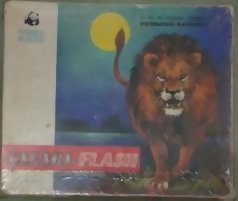 Photo: Safari-Flash