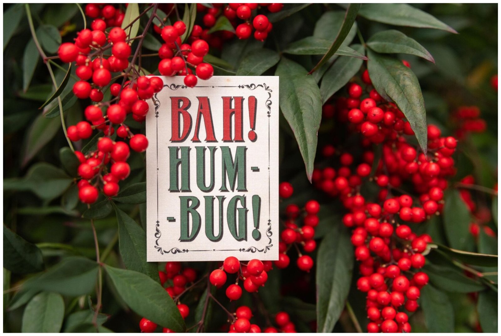Bah! Humbug! - A Twelve Days of Christmas Bluffing Game