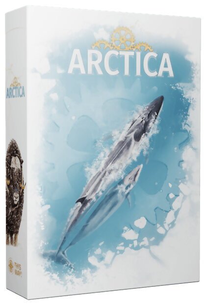 Arctica