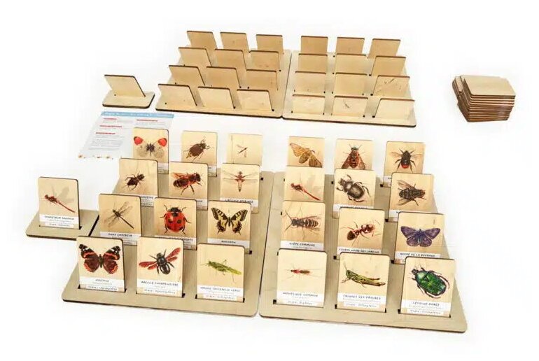 Qui est-ce ? géant sur les insectes