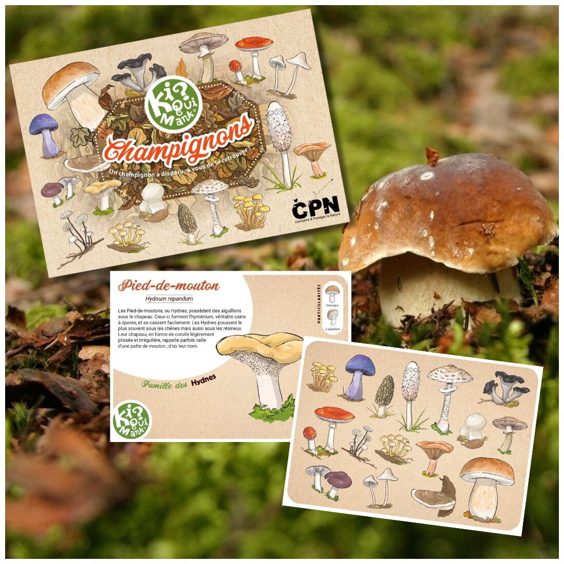 Ki ? Qui Mank - Champignons