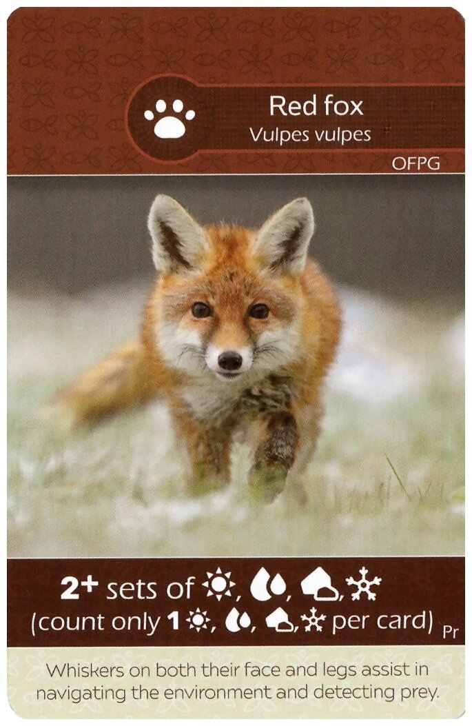 Earth - Redfox/Badger