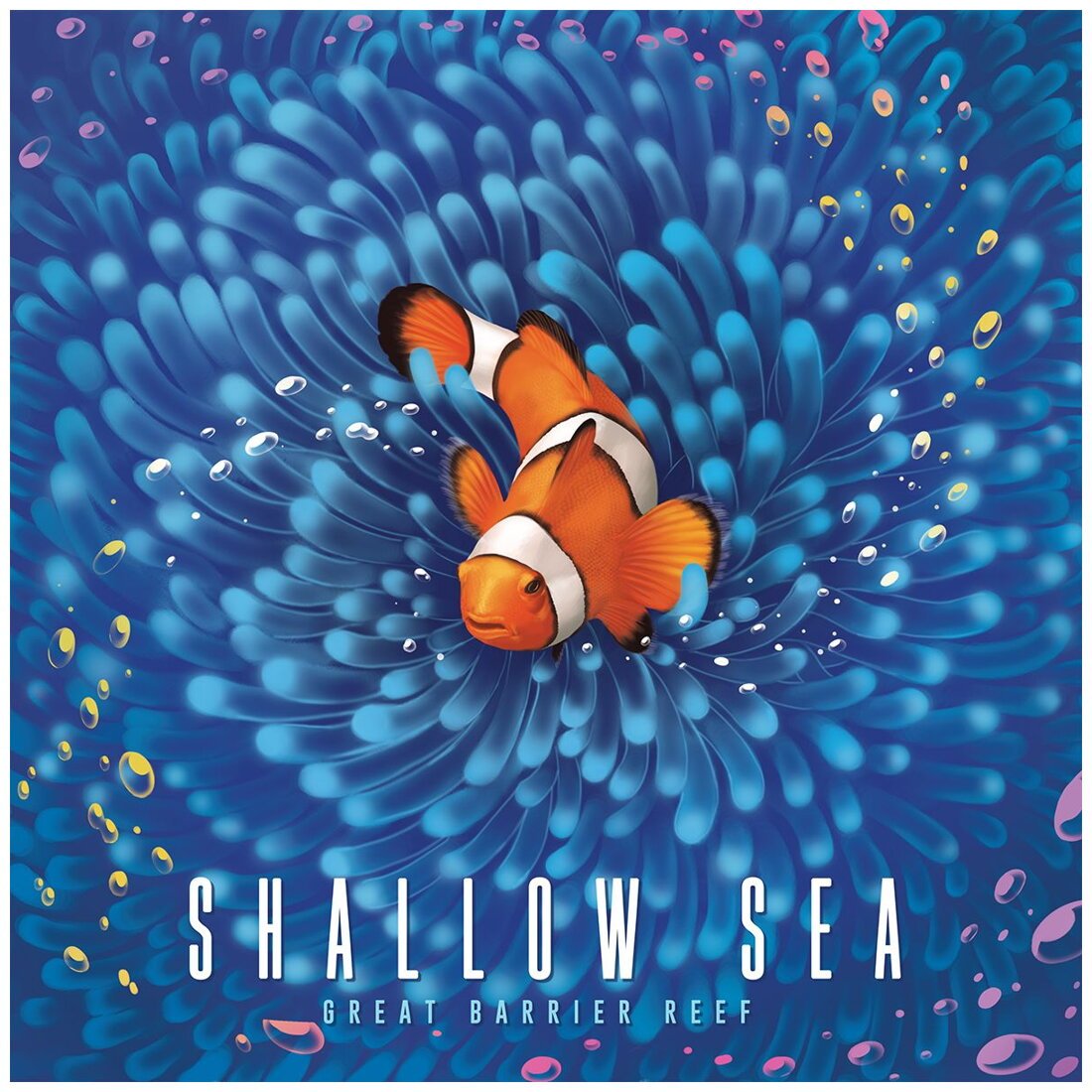Shallow Sea