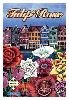 Tulip & Rose