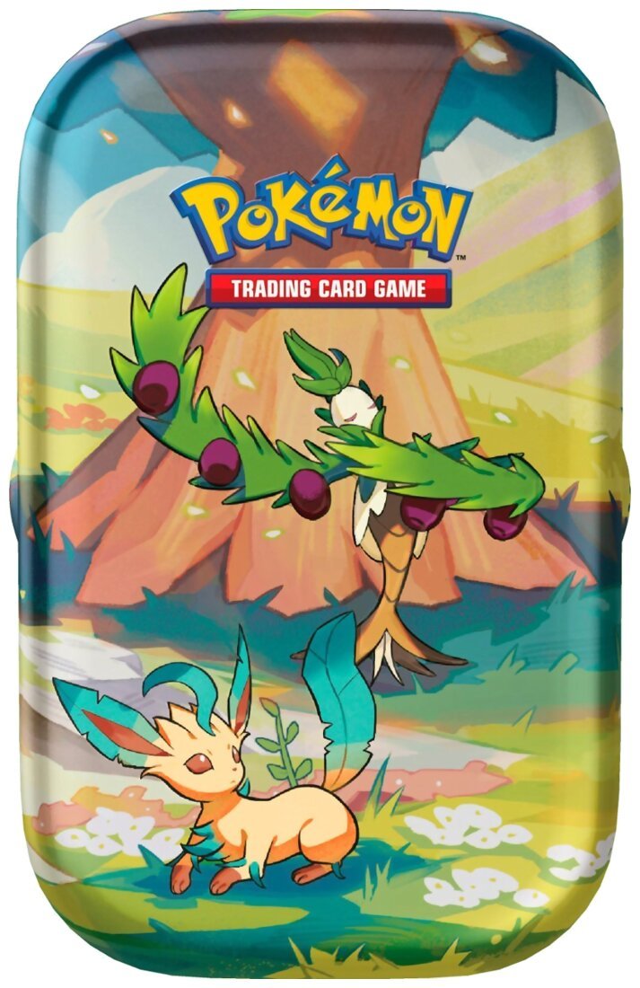 Pokémon JCC - Mini-Boîte - Juin 2024